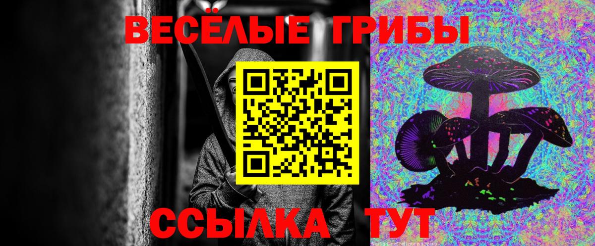 Ухта  Псилоцибиновые грибы ЛСД  Вход с VPN 