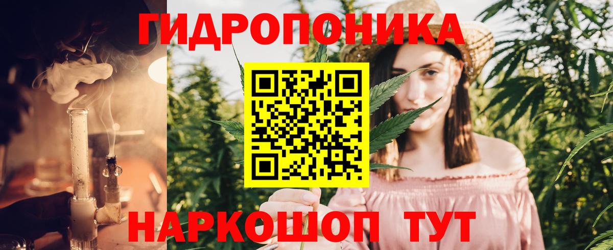 Шишки марихуана Amnesia Ухта
